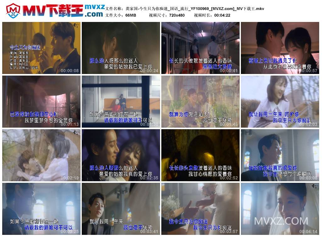 龚家国-今生只为你痴迷_国语_流行_YF100969